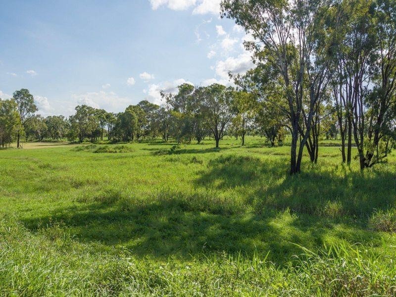 32 Pink Lily Road, Pink Lily QLD 4702