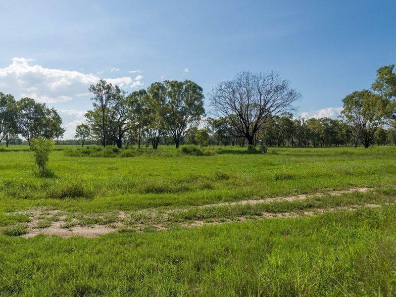 32 Pink Lily Road, Pink Lily QLD 4702