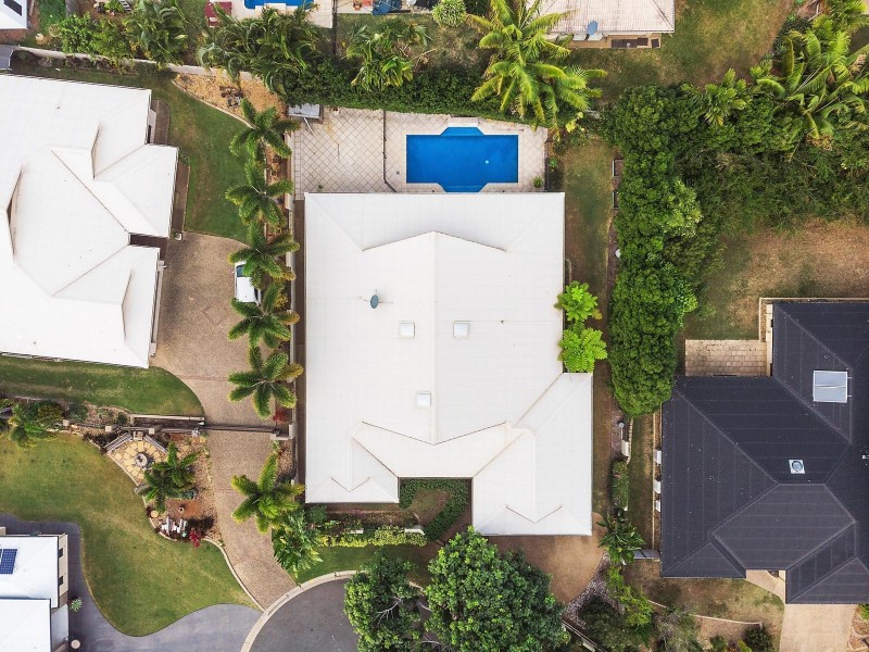 16 Treefern Terrace, Frenchville QLD 4701