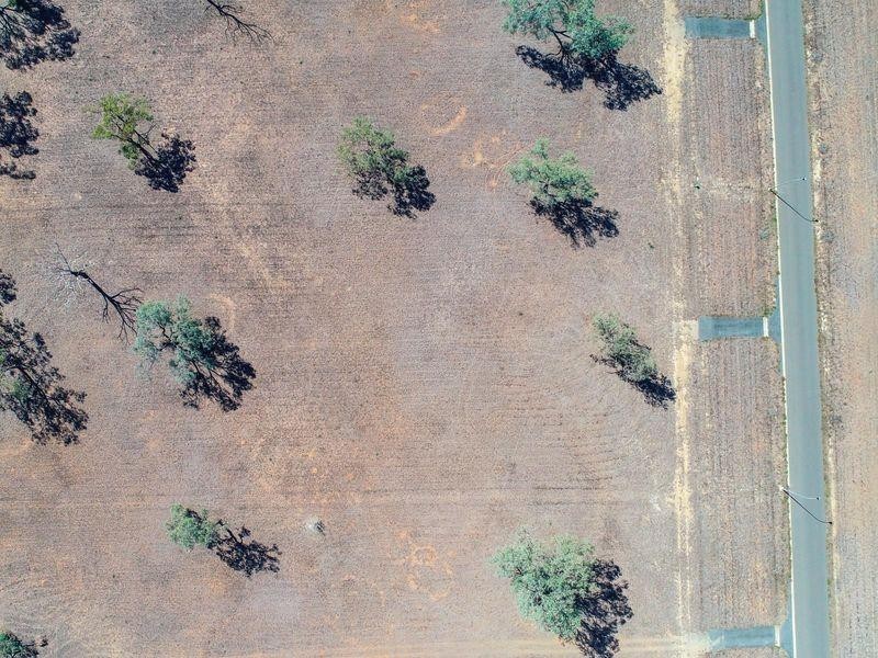 134 Windsor Street, Gracemere QLD 4702