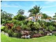 1 Wirra Place, Tewantin QLD 4565