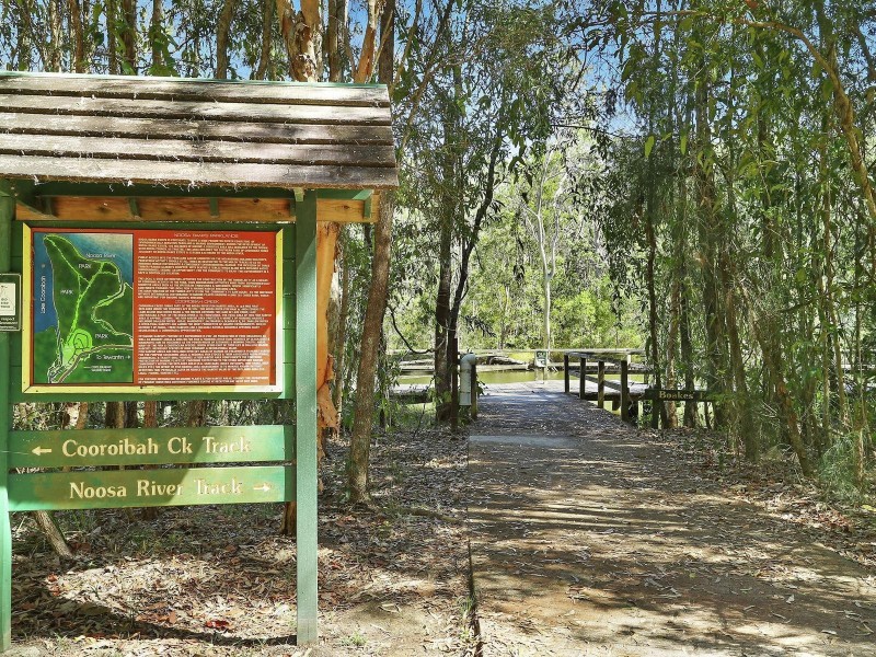 1 Wirra Place, Tewantin QLD 4565