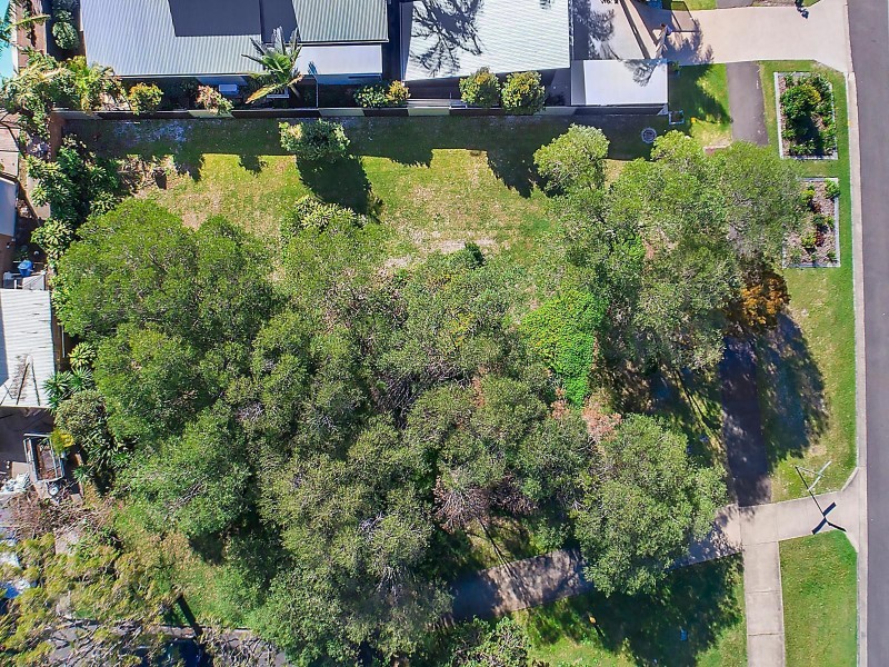 83 Cooyar Street, Noosa Heads QLD 4567