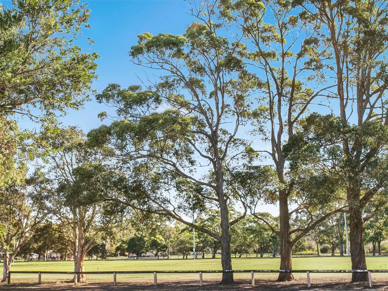 2 Vanessa Street, Beverly Hills NSW 2209