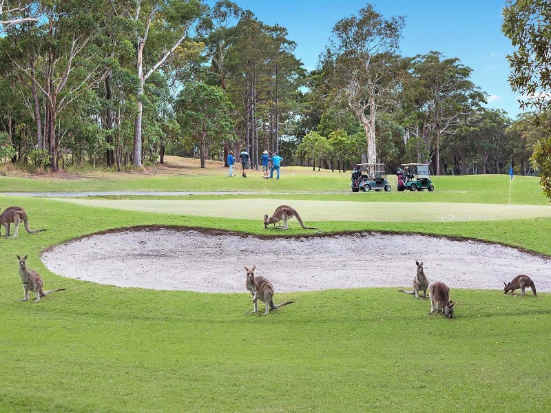 5 Quay Crescent, Safety Beach NSW 2456