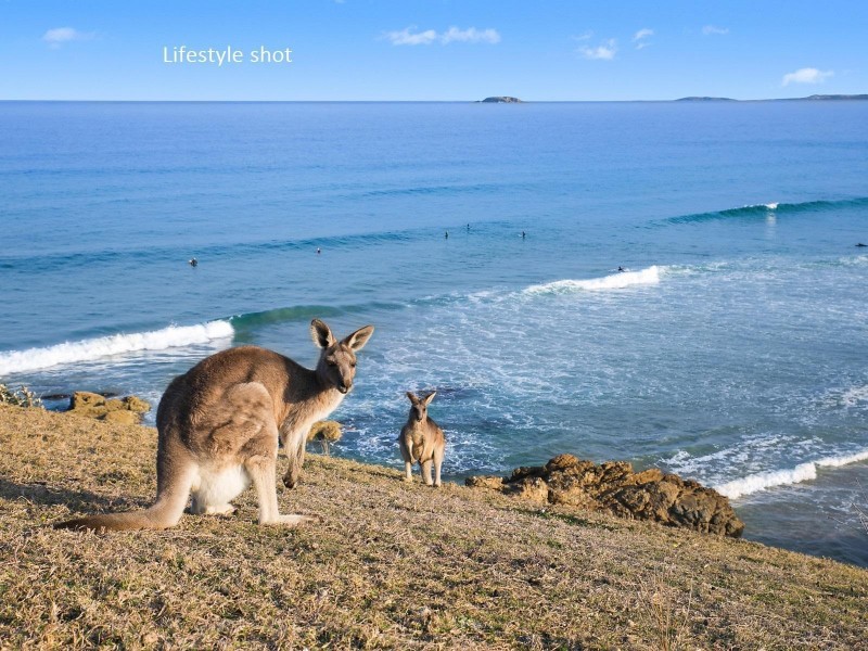 40 Bluff Road, Emerald Beach NSW 2456