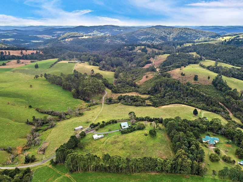 376 Slingsbys Road, Dorrigo NSW 2453