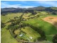 376 Slingsbys Road, Dorrigo NSW 2453