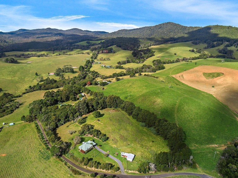376 Slingsbys Road, Dorrigo NSW 2453