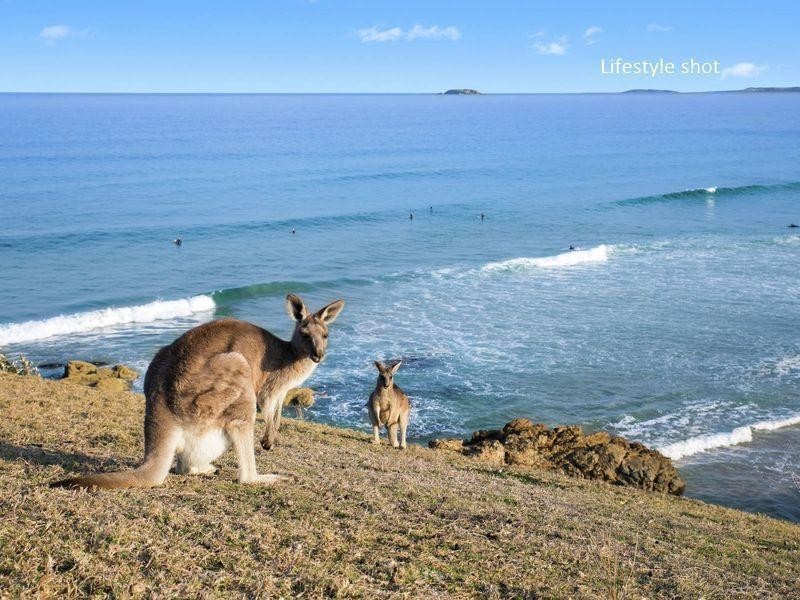 55 Cassia Lane, Woolgoolga NSW 2456