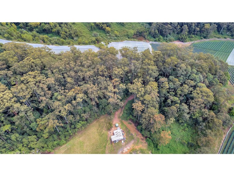 370 Crossmaglen Road, Bonville NSW 2441