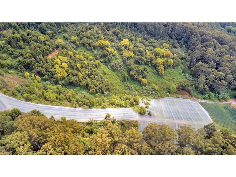 370 Crossmaglen Road, Bonville NSW 2441