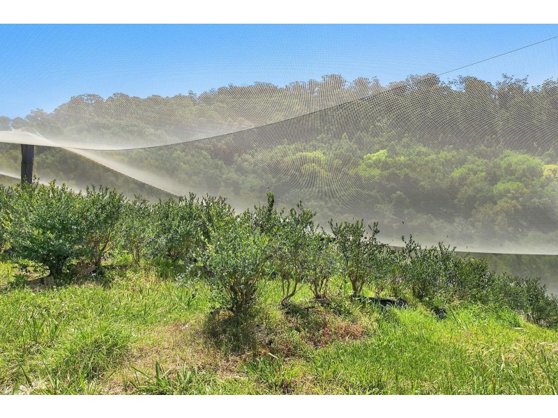 370 Crossmaglen Road, Bonville NSW 2441