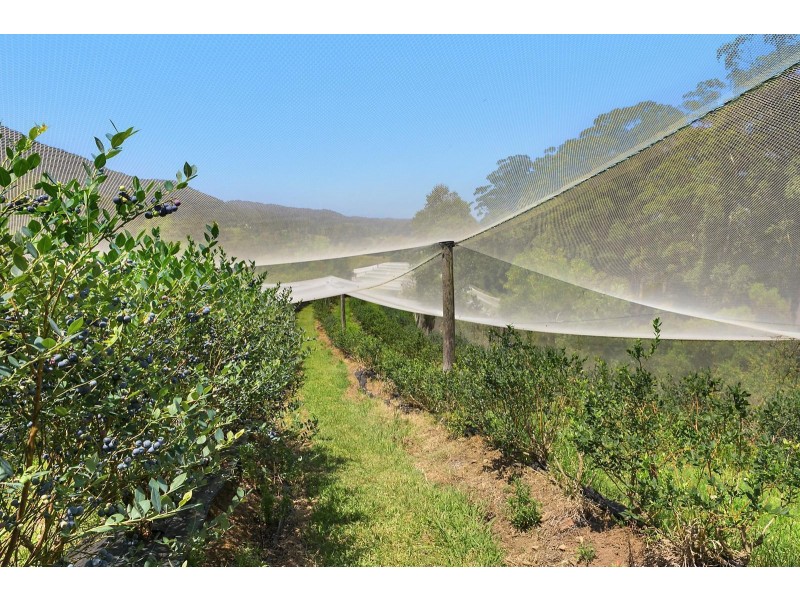 370 Crossmaglen Road, Bonville NSW 2441