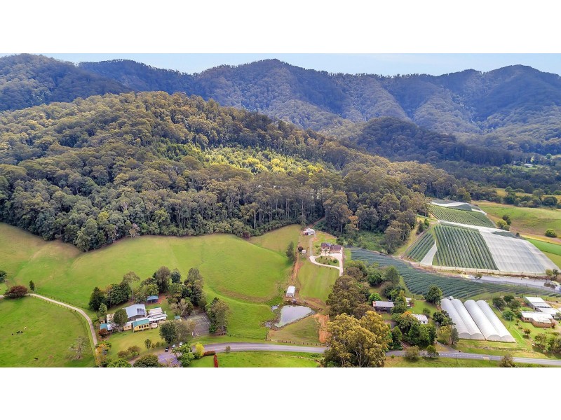 370 Crossmaglen Road, Bonville NSW 2441