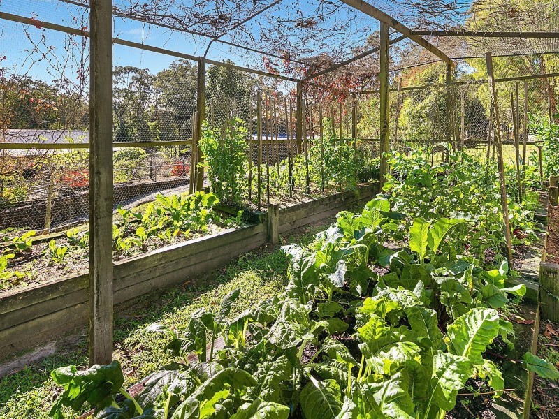 45 Wollumbin Drive, Urunga NSW 2455