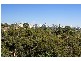 21 Fifth Avenue, Denistone NSW 2114