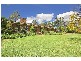5 Sandpiper Place, Kenthurst NSW 2156