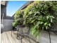 3/6 Charlotte Place, St Kilda VIC 3182