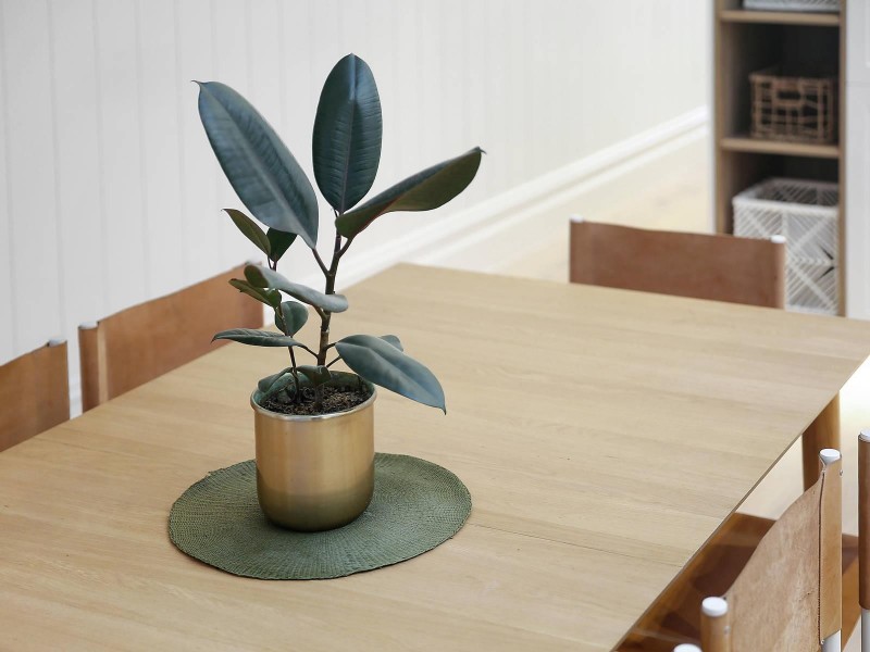 38C Grey Street, St Kilda VIC 3182