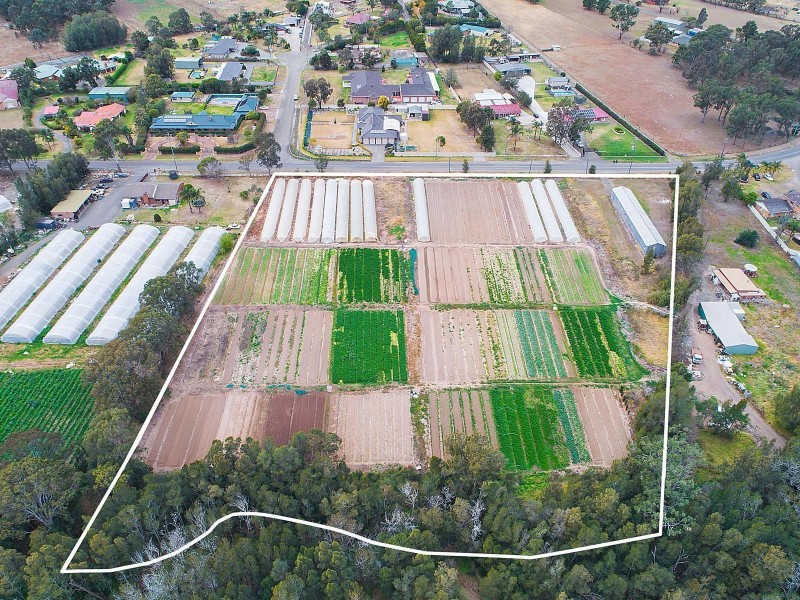 199 Springfield Road, Catherine Field NSW 2557