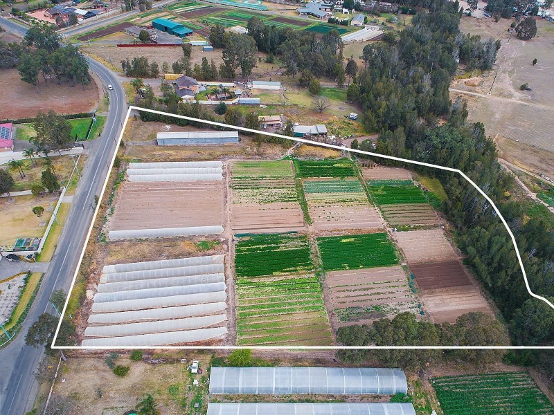 199 Springfield Road, Catherine Field NSW 2557