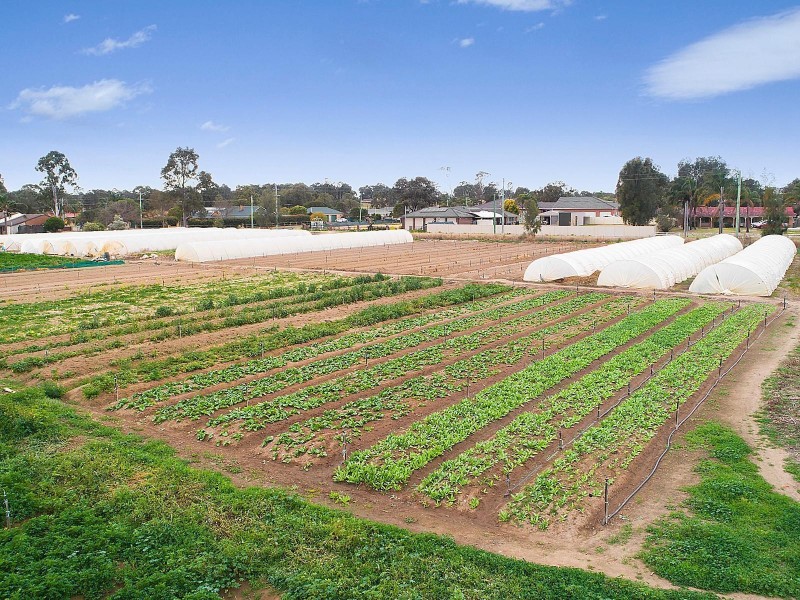 199 Springfield Road, Catherine Field NSW 2557