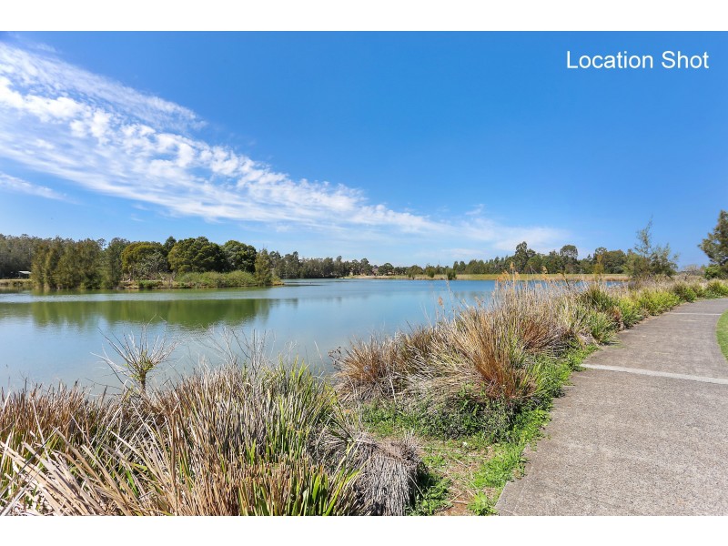 14 Ulster Street, Cecil Hills NSW 2171