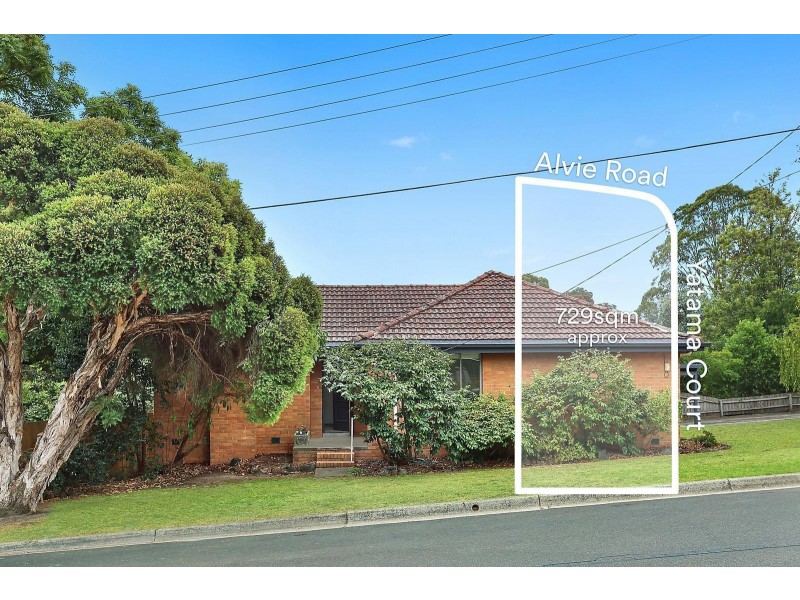 17 Alvie Road, Mount Waverley VIC 3149