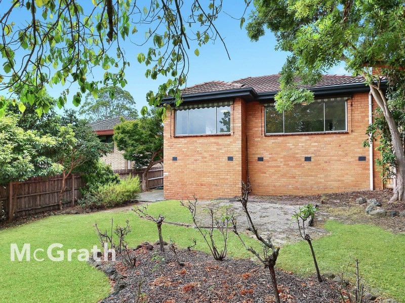 17 Alvie Road, Mount Waverley VIC 3149