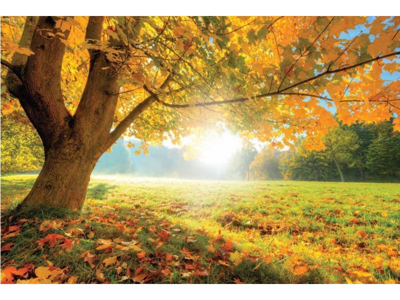 3/7 Hampton Court, Glen Waverley VIC 3150