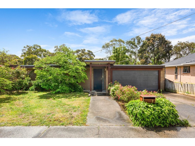 7 Montclair Avenue, Glen Waverley VIC 3150