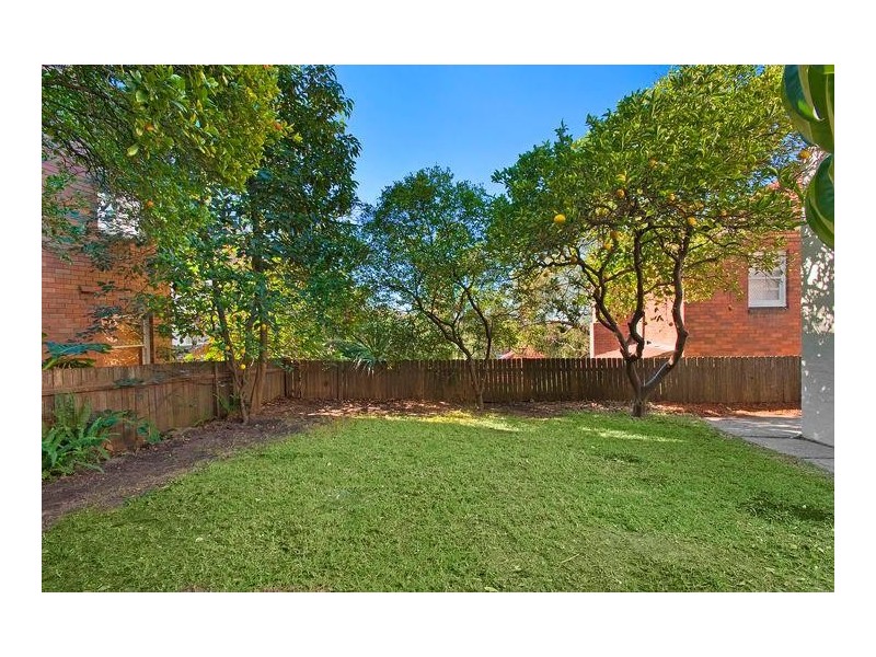 1/5 George Street, Randwick NSW 2031