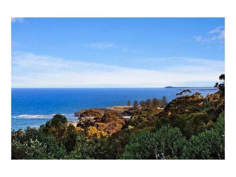 38 Cater Street, Coledale NSW 2515