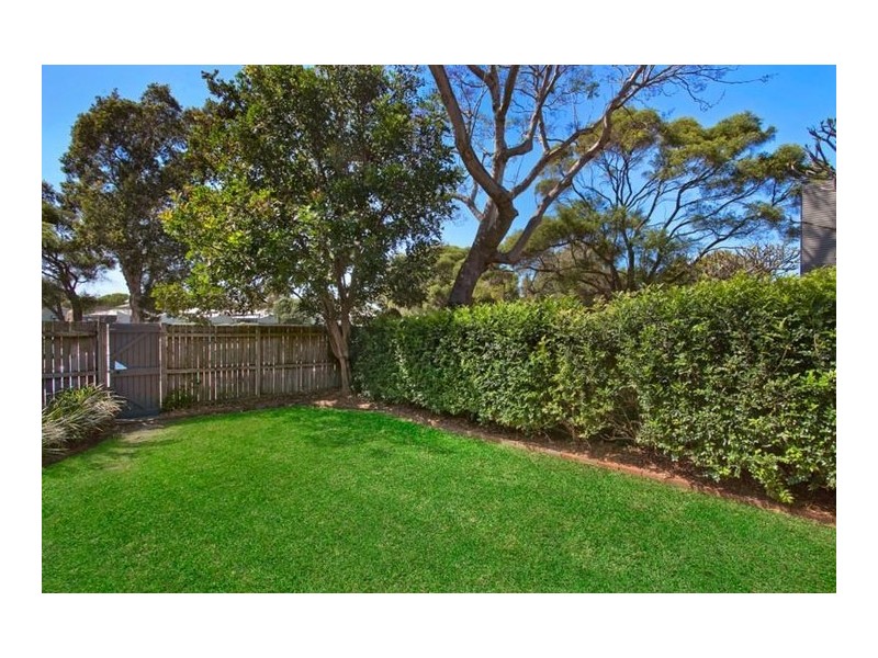 163 Botany Street, Randwick NSW 2031