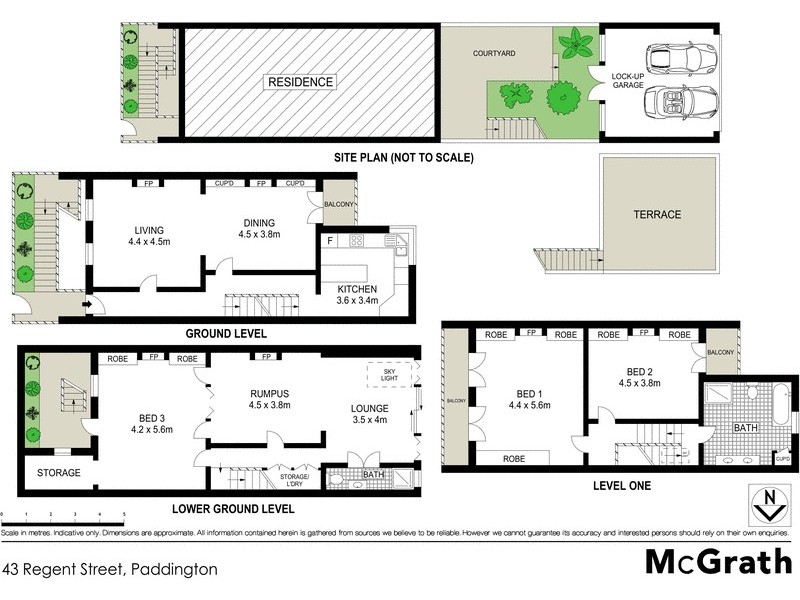 43 Regent Street, Paddington NSW 2021 Floorplan