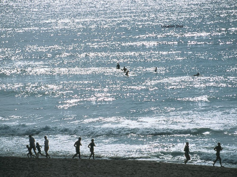 505/61 Hall Street, Bondi Beach NSW 2026