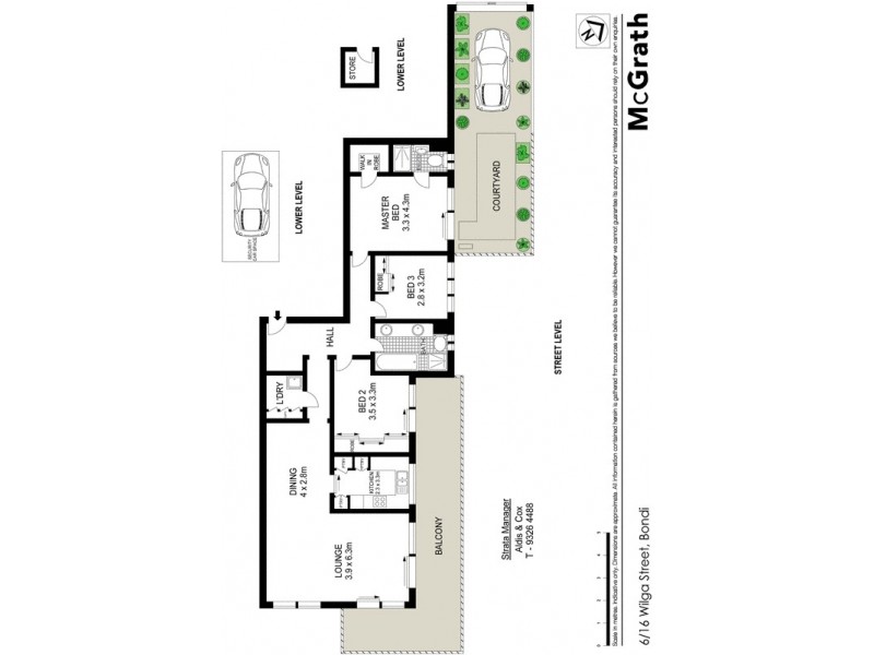 6/16 Wilga Street, Bondi NSW 2026 Floorplan