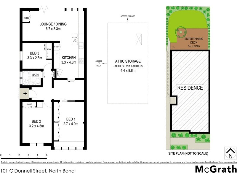 101 O’Donnell Street, North Bondi NSW 2026 Floorplan