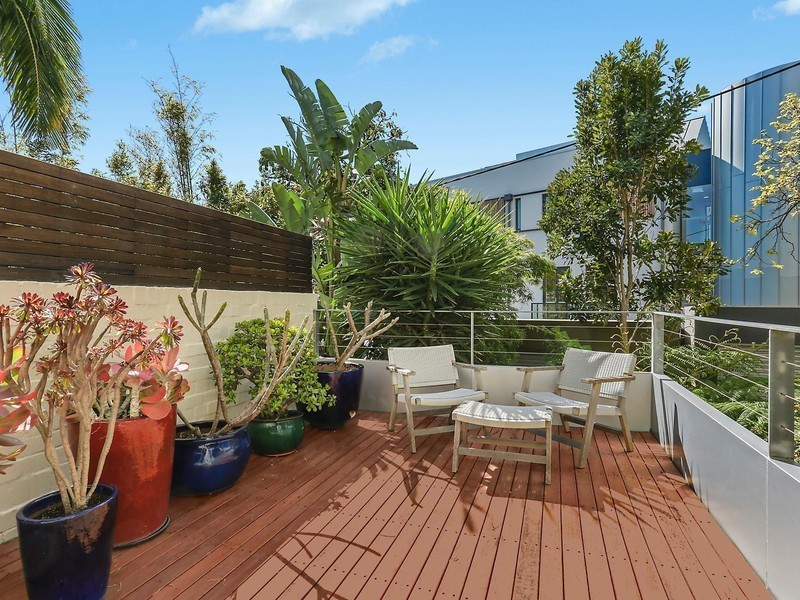 50 Renny Street, Paddington NSW 2021