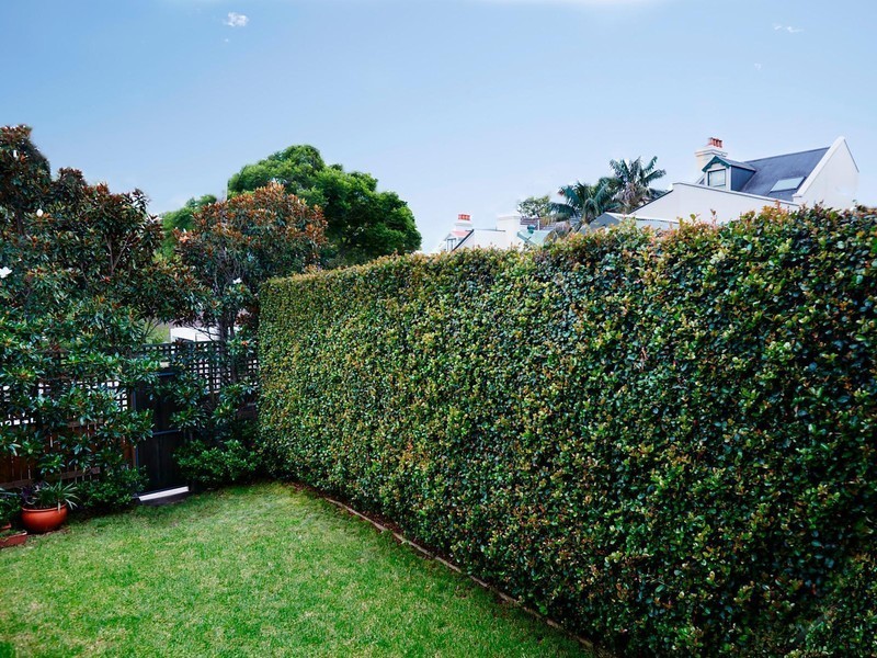 16 Wallis Street, Woollahra NSW 2025