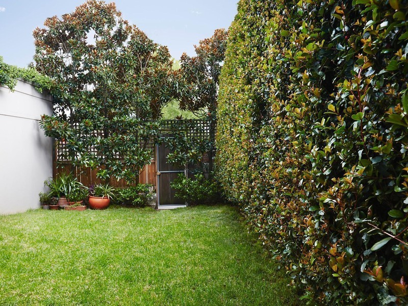 16 Wallis Street, Woollahra NSW 2025