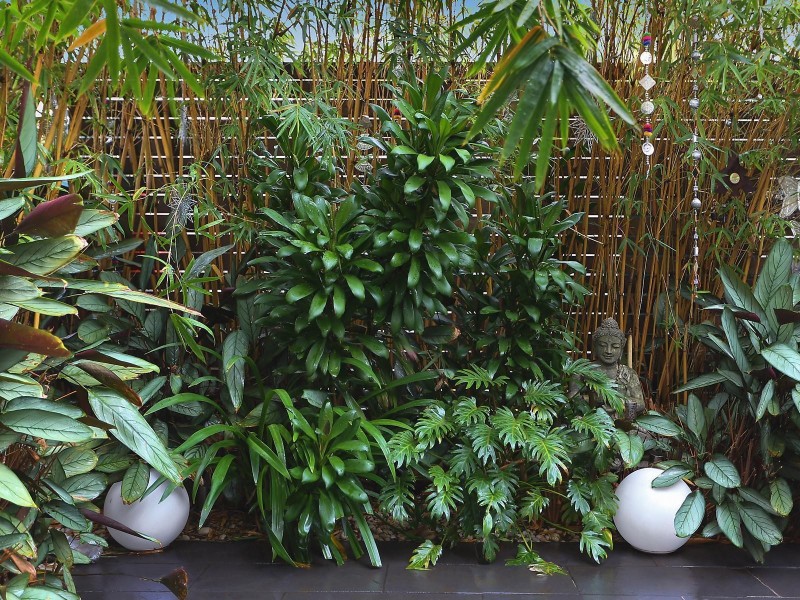 191 Denison Street, Queens Park NSW 2022