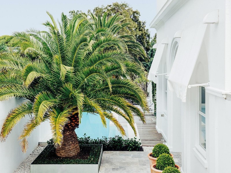 8 Gap Road, Watsons Bay NSW 2030