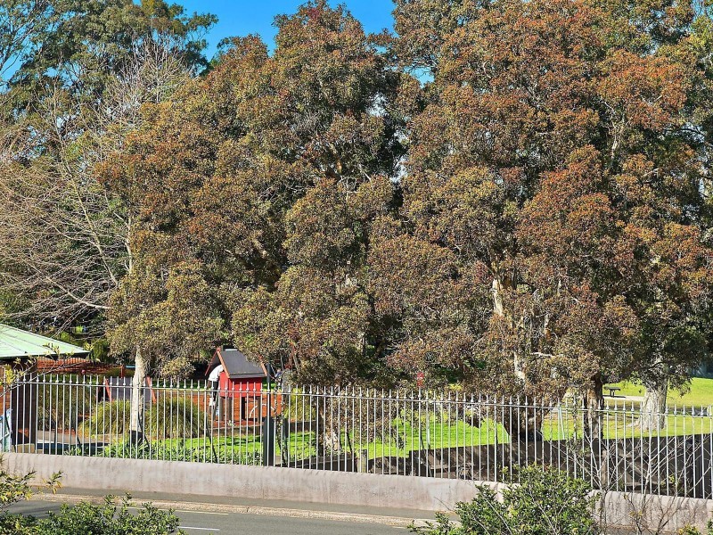 56 Oxford Street, Woollahra NSW 2025