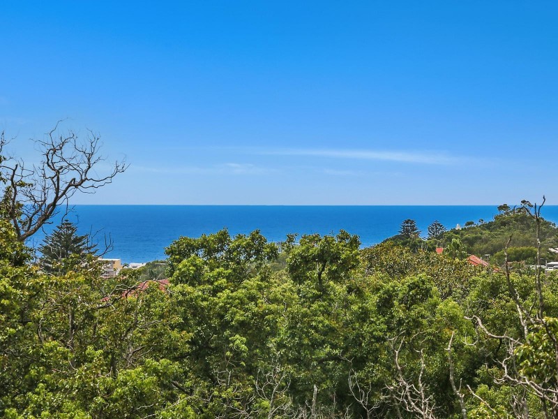 1/2A Penkivil Street, Bondi NSW 2026