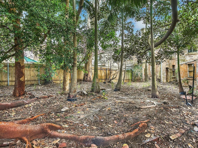 47, 49, 51 & 53 Bon Accord Avenue, Bondi Junction NSW 2022