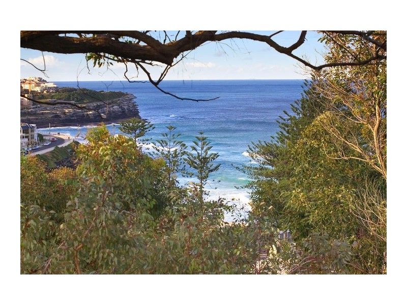 55 Gardyne Street, Bronte NSW 2024