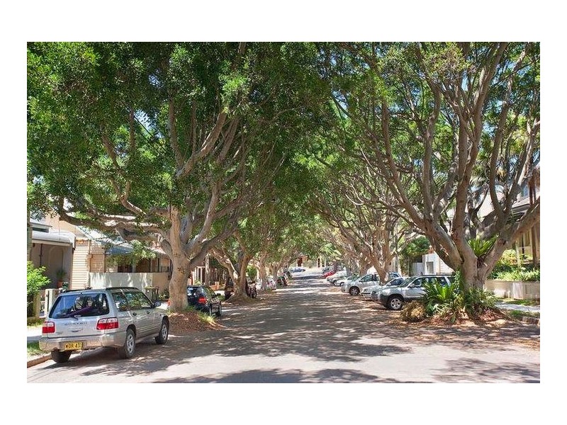 32A Wiley Street, Waverley NSW 2024