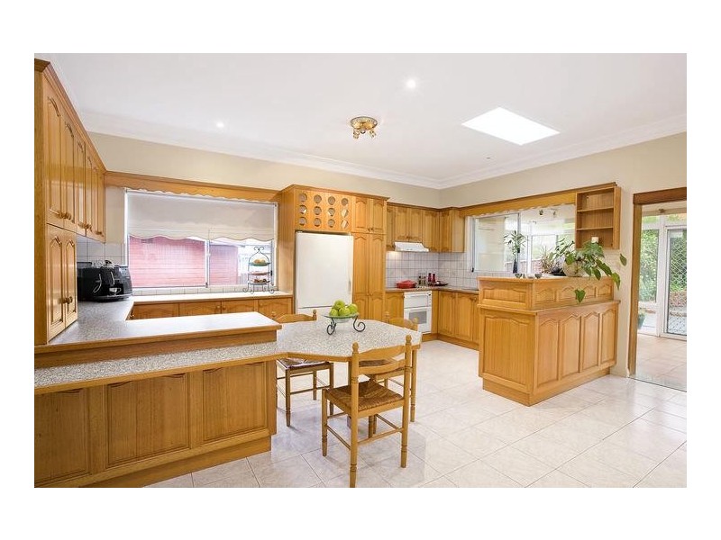 31 Nelson Road, Earlwood NSW 2206